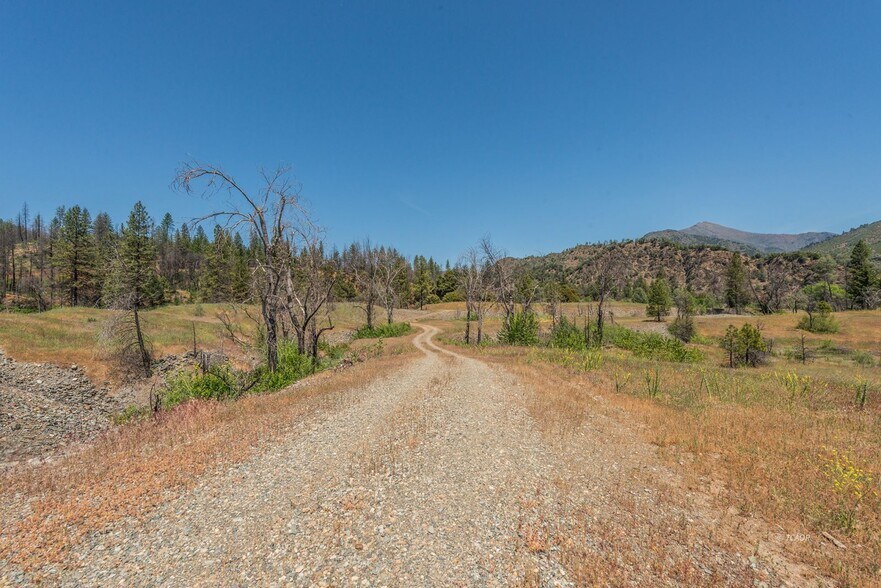 More Photos Of 200 Dutch Creek Rd, Junction City Land For Sale