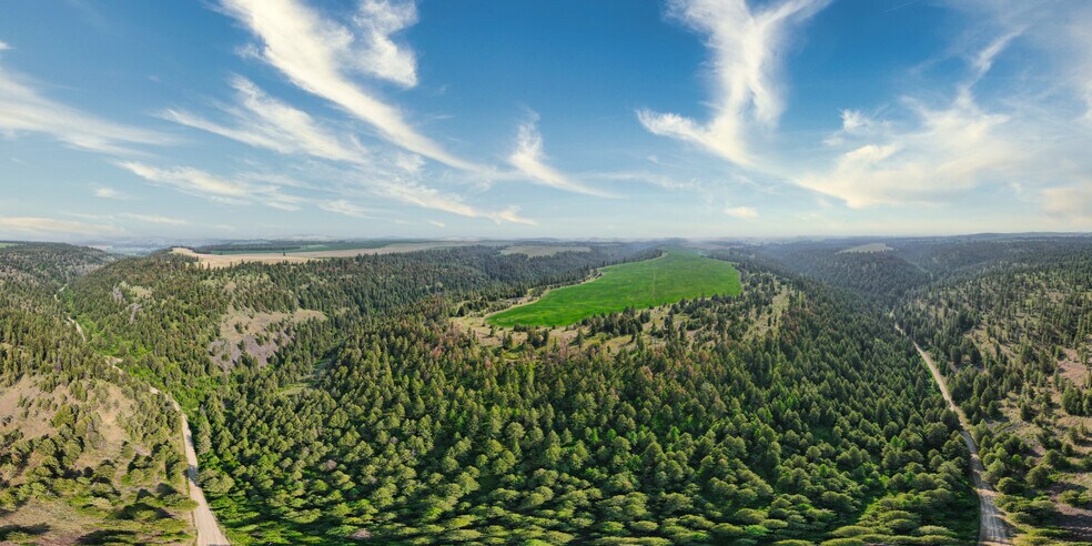 More Photos Of 45XXX Devore Rd, Davenport Land For Sale