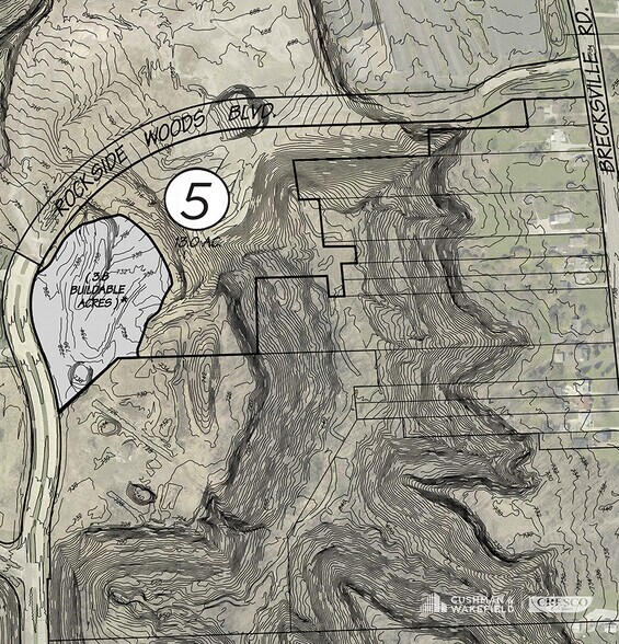 Rockside Woods Blvd, Independence, OH 44131 Land For Sale
