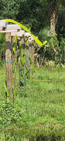 More Photos Of 20948 Corkscrew Rd, Estero Winery Vineyard For Sale