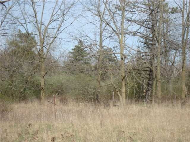 Primary Photo Of 4261 Gunnville Rd, Clarence Land For Sale