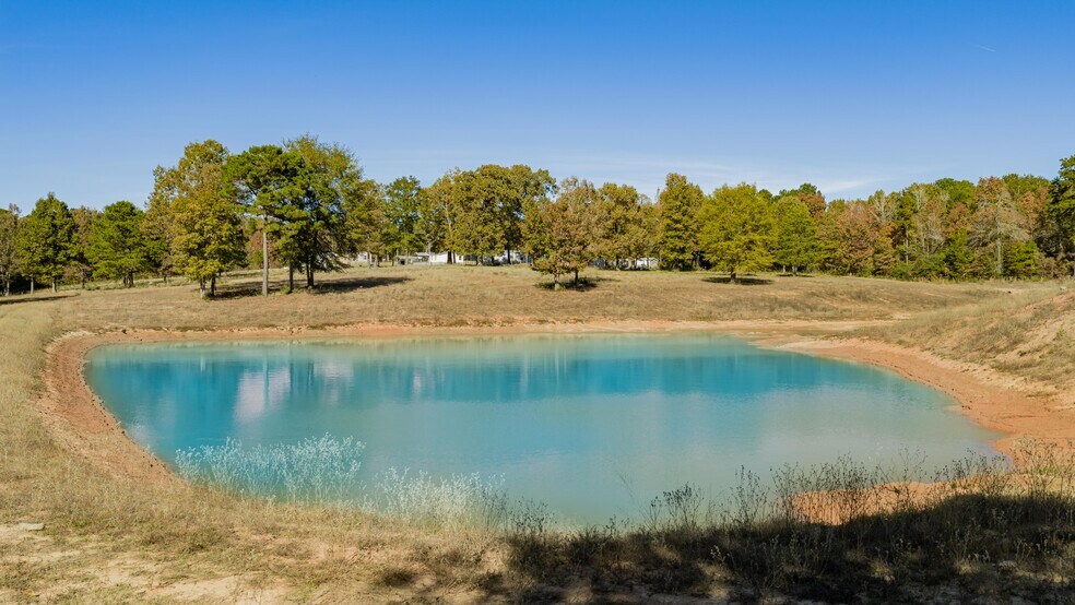 More Photos Of 12806 Wood Rd, Diana Land For Sale