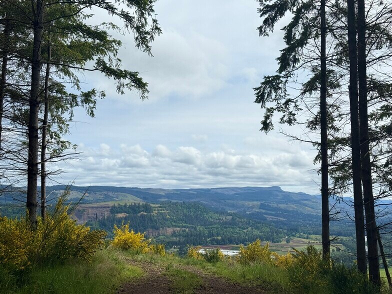 More Photos Of Kingston-Lyons Dr, Stayton Land For Sale