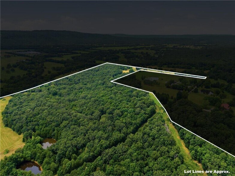 More Photos Of 11373 Colcleasure Rd, Fayetteville Land For Sale