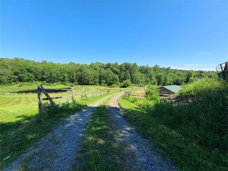 More Photos Of 282 Shore Rd, Swan Lake Land For Sale