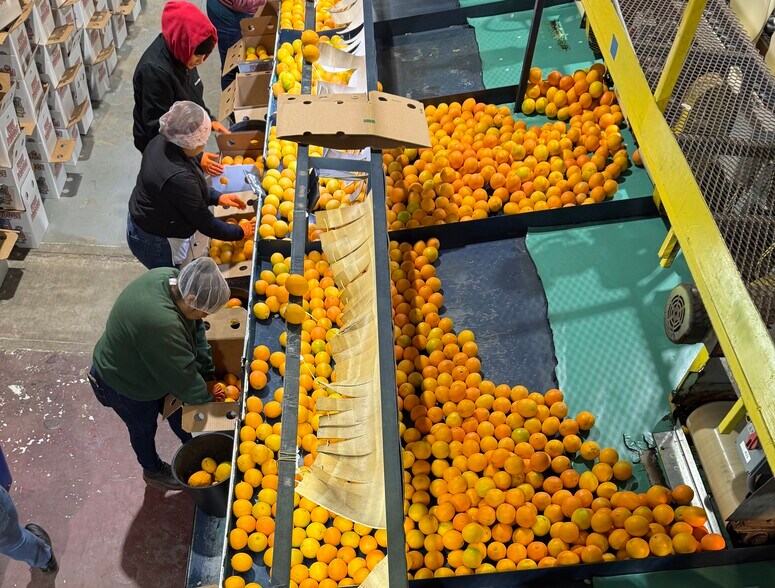 More Photos Of 8507 Rd 256, Terra Bella Food Processing For Sale