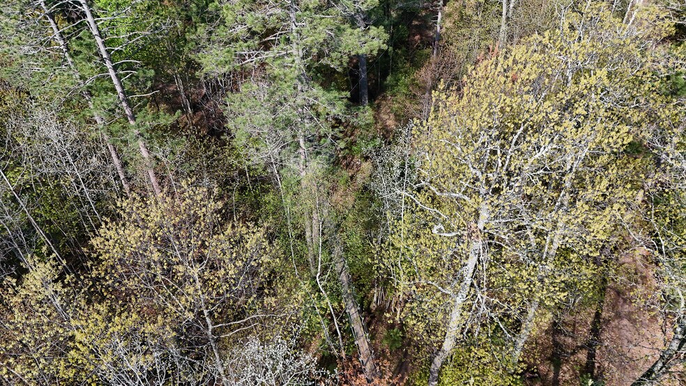 More Photos Of 7849 US Highway 51, Minocqua Sports And Entertainment For Sale