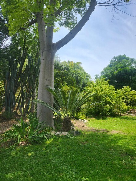 More Photos Of 18552 Erwin St, Tarzana Land For Lease