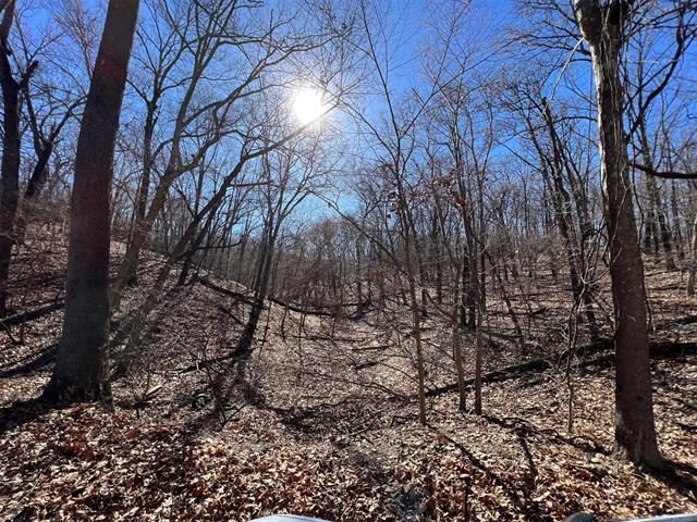 More Photos Of 450630 S Old Mill Road, Afton Trailer Camper Park For Sale
