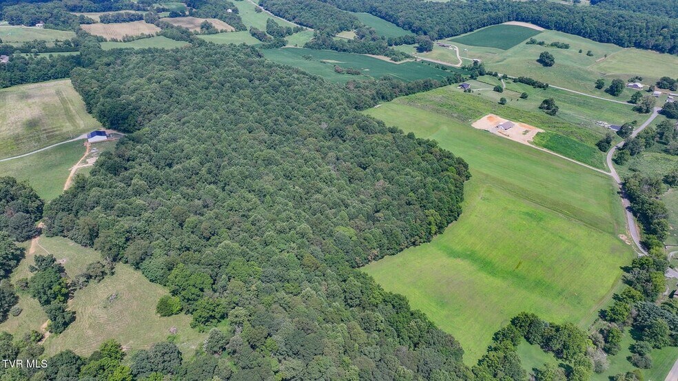 More Photos Of 170 McCall Rd, Limestone Land For Sale