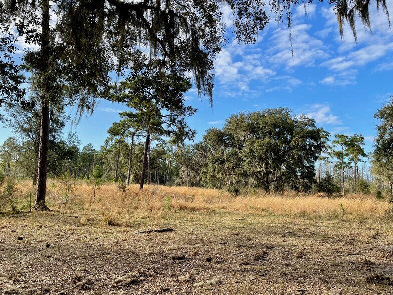 More Photos Of 19858 State Road 52, Land O' Lakes Land For Sale