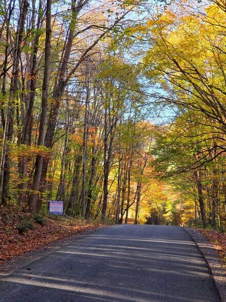 More Photos Of 0 Old Pluto Rd, Shady Spring Land For Sale