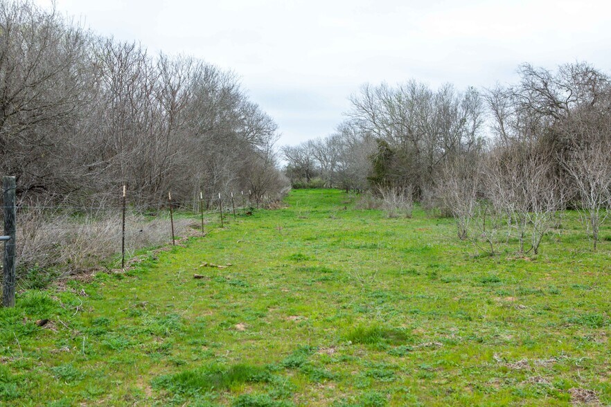 More Photos Of 10709 US Highway 87 N, Adkins Land For Sale