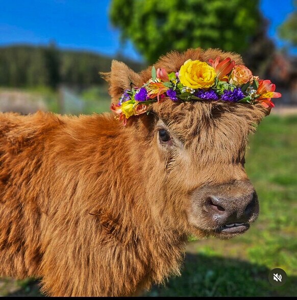 More Photos Of 1719 Main St, Baker City General Retail For Sale