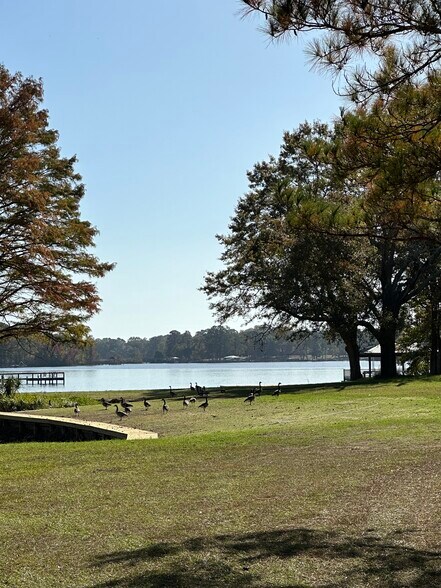 More Photos Of TBD White Oak dr, Manning Land For Sale