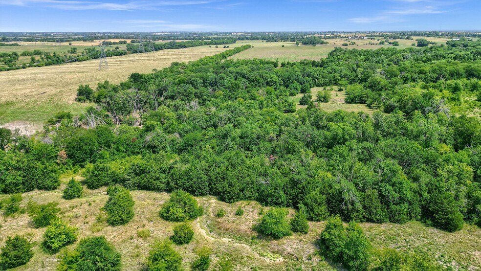 More Photos Of 51.626 AC FM 455 w, Celina Land For Sale