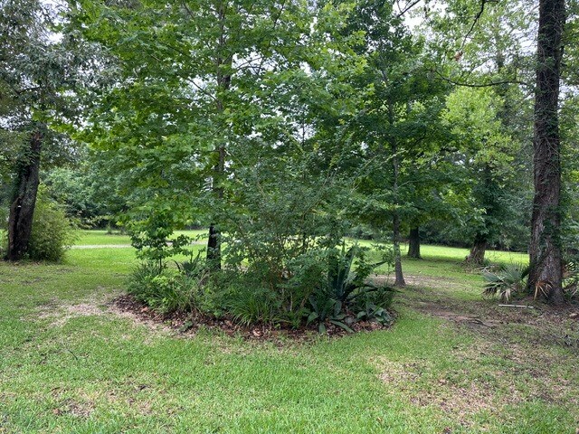 More Photos Of 8370 FM 1488, Magnolia Office For Sale
