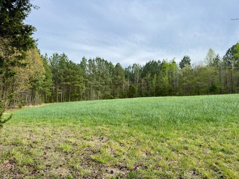 More Photos Of 12301 NC-86, Prospect Hill Land For Sale