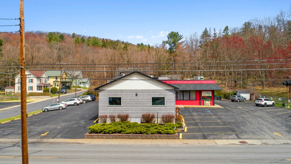 More Photos Of 525 Main St, Oneonta Veterinarian Kennel For Sale
