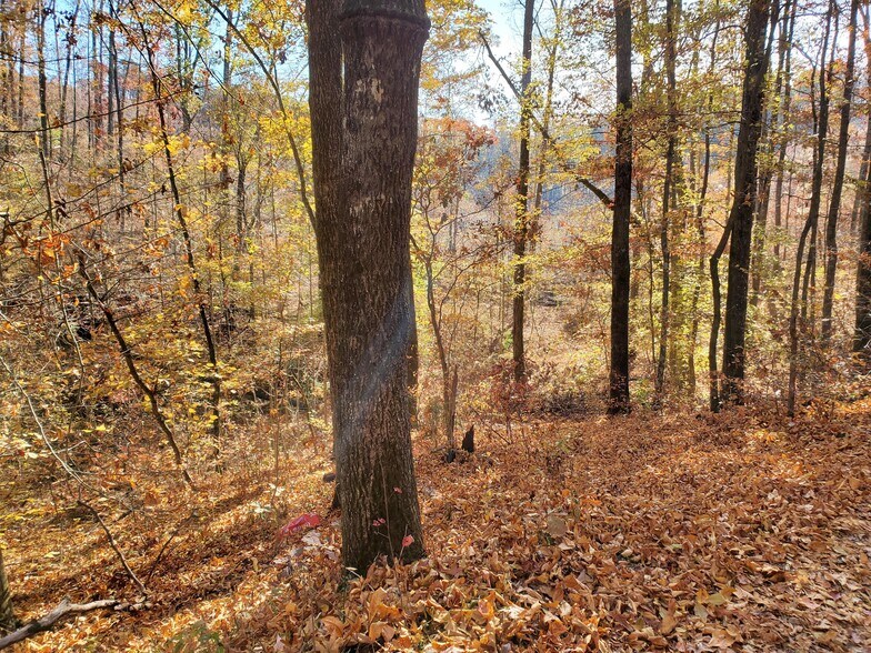 More Photos Of 1000 Block Of US-Hwy 64, Ocoee Land For Sale