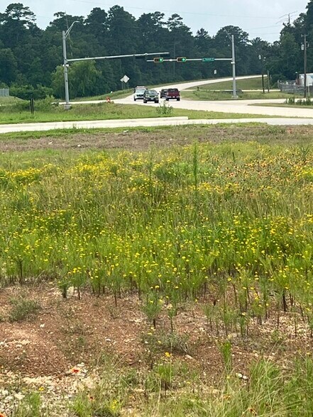 More Photos Of 11900 Seven Coves Rd, Willis Land For Sale