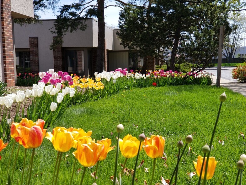 More Photos Of , Libertyville Office For Sale