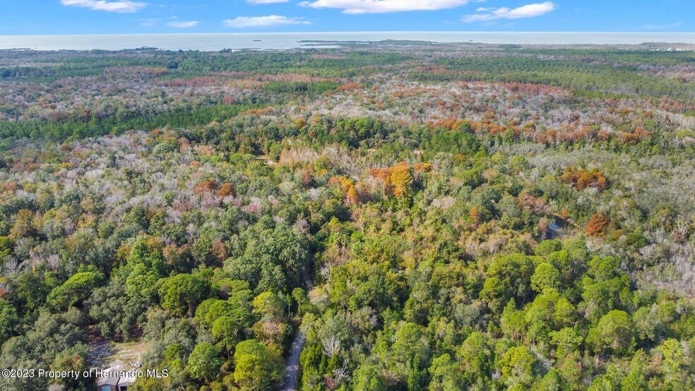 More Photos Of 0 Algood Rd, Spring Hill Land For Sale