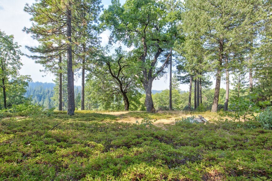 More Photos Of Mountain Dew Lane, Somerset Land For Sale