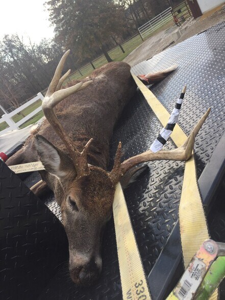 More Photos Of 762 Cave Farm Rd, Troy Land For Sale