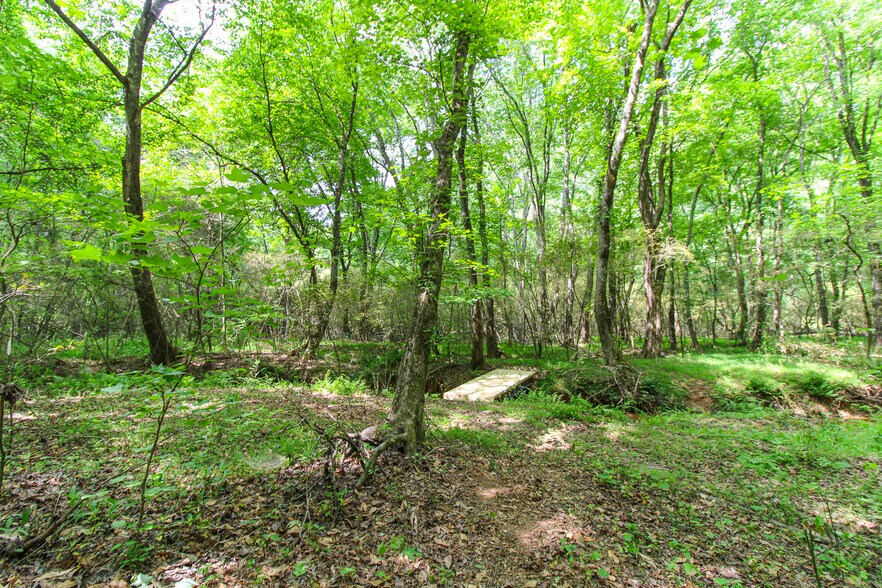 More Photos Of Powell Rd, Statham Land For Sale