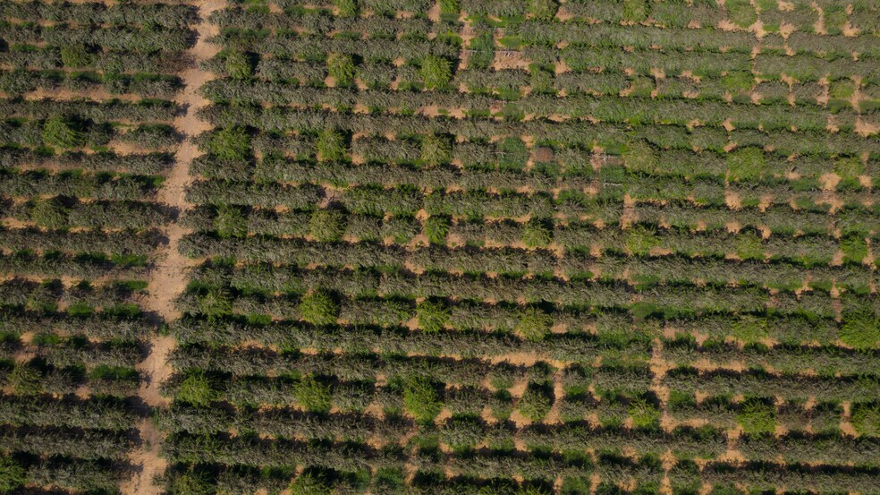 More Photos Of 2099 Hwy 70, Biggs Land For Sale