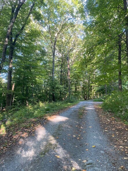 More Photos Of 152 Lily Lake Rd, Highland Land For Sale