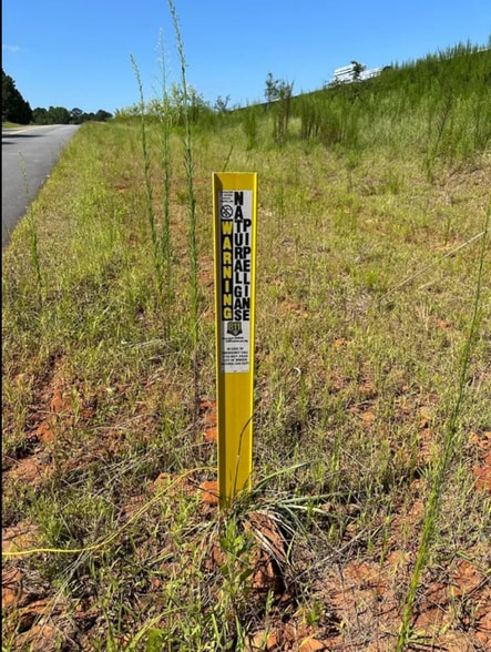 More Photos Of 1442 Bird Hammond Rd, Winder Land For Sale