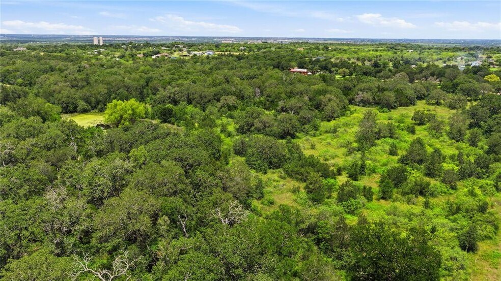 More Photos Of 10312 Parsons rd, Manor Land For Sale