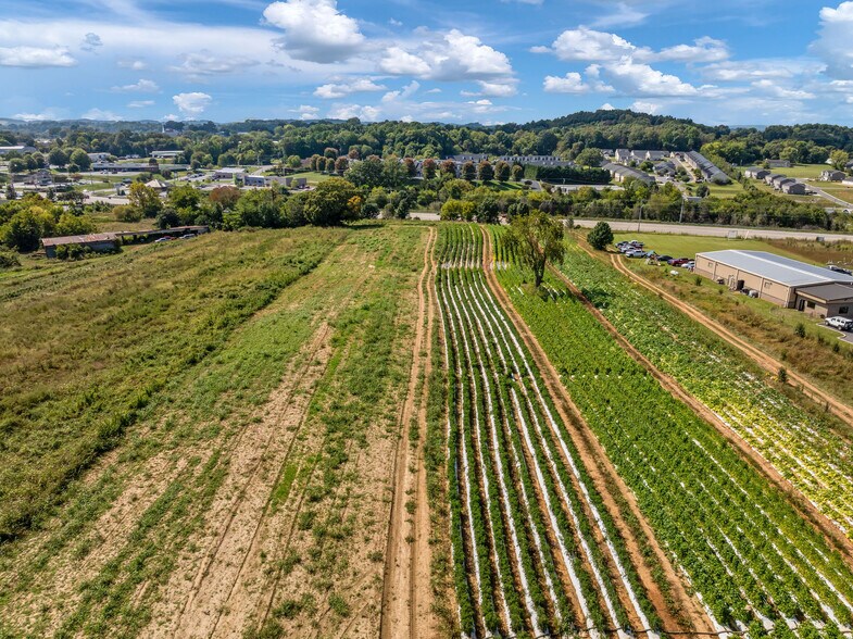 More Photos Of 370 Roy Martin, Johnson City Land For Sale