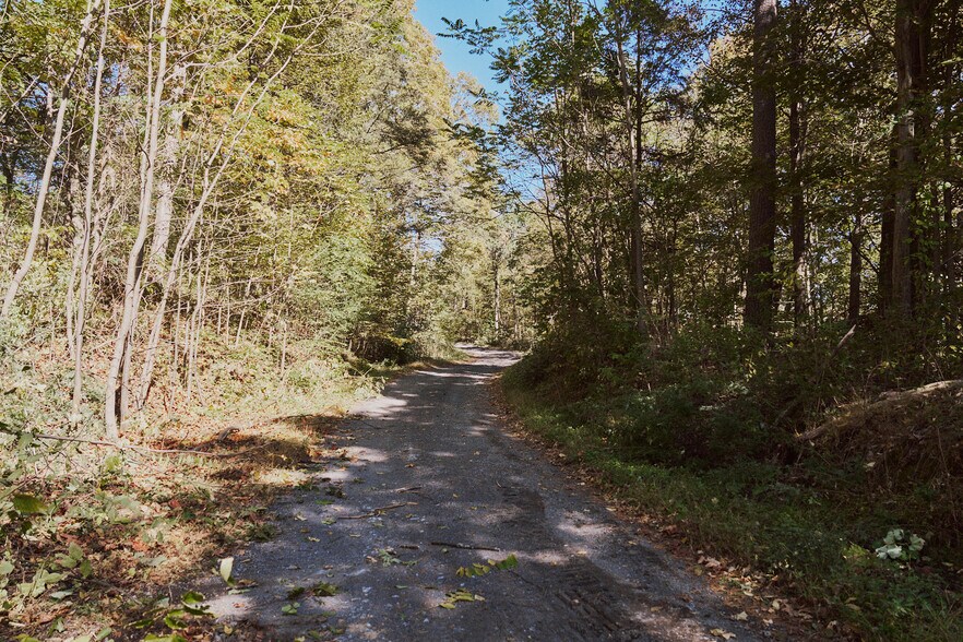 More Photos Of 1296 Flatbush Rd, Kingston Land For Sale