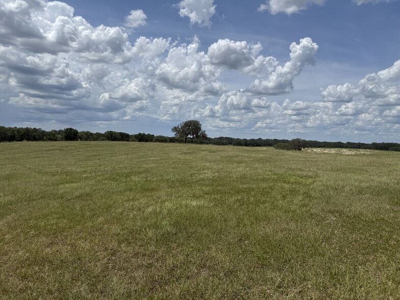 More Photos Of 0 W Highway 328, Dunnellon Land For Sale
