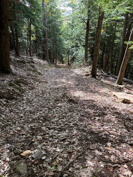 Primary Photo Of 00 Quarry Rd, Chester Land For Sale