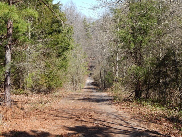 More Photos Of 10990 Old Federal Rd, Carnesville Land For Sale