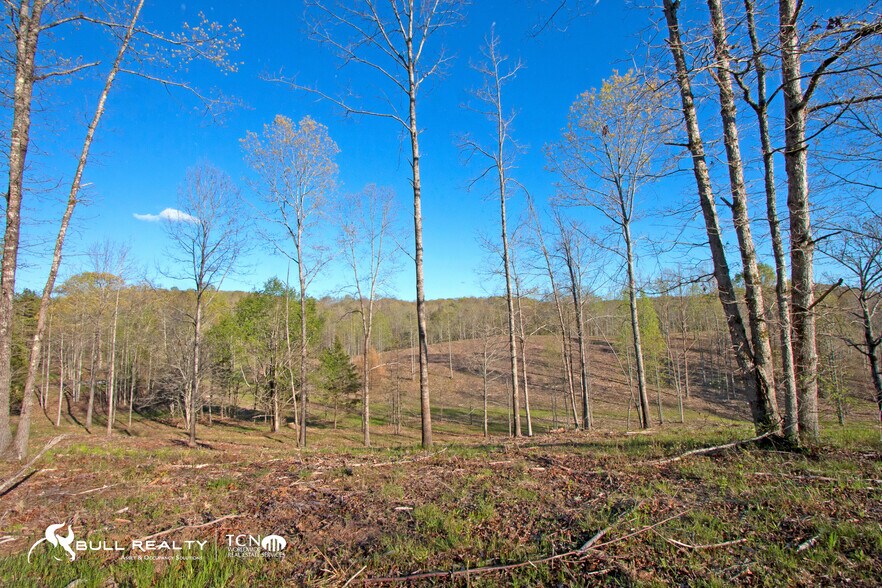 More Photos Of Brandy Mountain Rd, Dahlonega Land For Sale