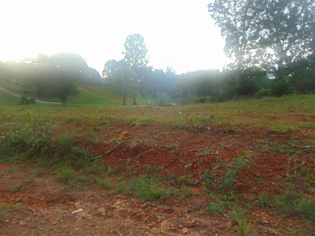 More Photos Of 0 CR 24, Florence Land For Sale