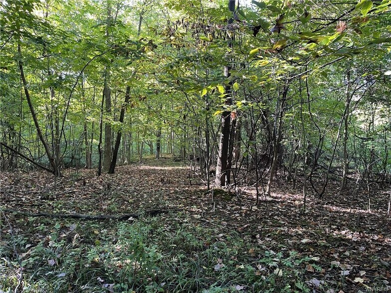 More Photos Of 10661 W Lake Rd, Ripley Winery Vineyard For Sale