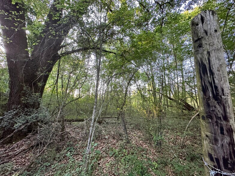 More Photos Of 0 Wilmer, Wilmer Land For Sale