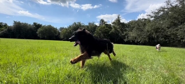 More Photos Of 7705 Gardner Rd, Tampa Specialty For Sale