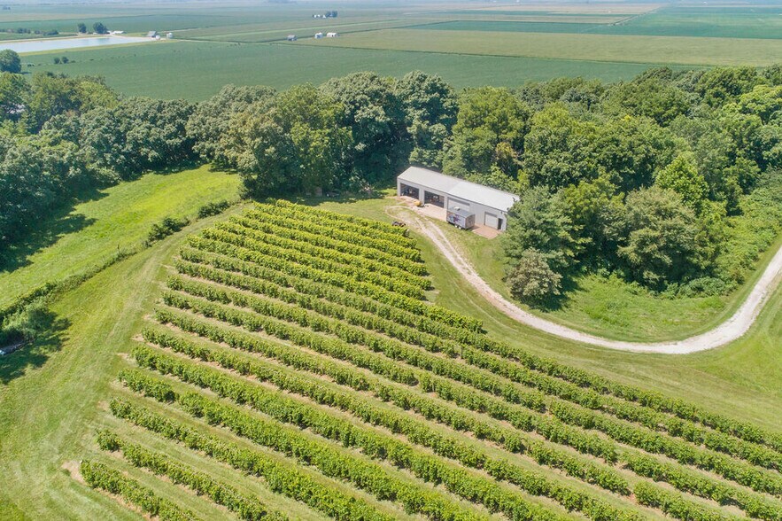 More Photos Of 2211 E 640th Pl, Ursa Winery Vineyard For Sale