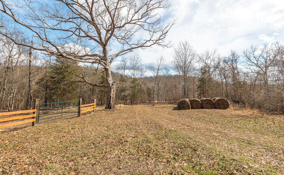 More Photos Of 3385 County Road 5615, Bunker Land For Sale