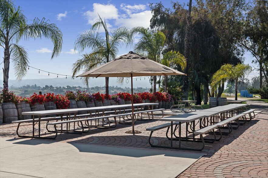 More Photos Of 41220 Calle Contento, Temecula Winery Vineyard For Sale