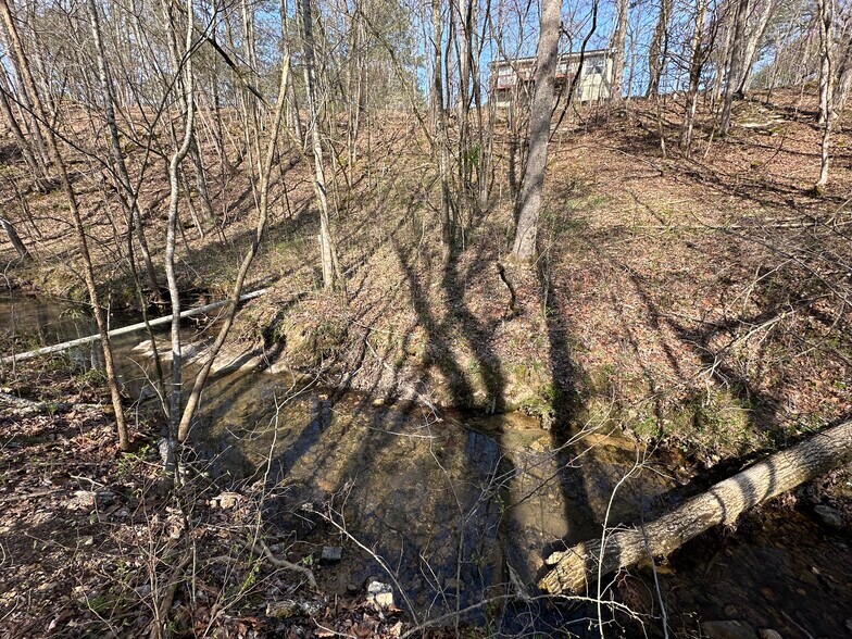 More Photos Of 7312 Highway 60, Georgetown Land For Sale