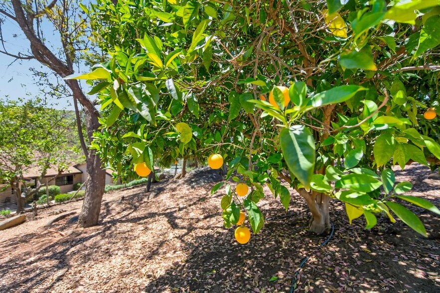 More Photos Of 21041 Black Canyon Rd, Ramona Land For Sale