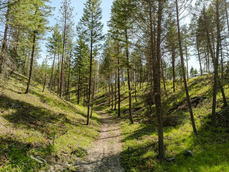 More Photos Of 327 Stone Mountain Rd, Rexford Land For Sale